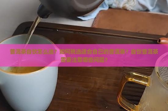 普洱茶自饮怎么选？如何挑选适合自己的普洱茶？自饮普洱茶需要注意哪些问题？