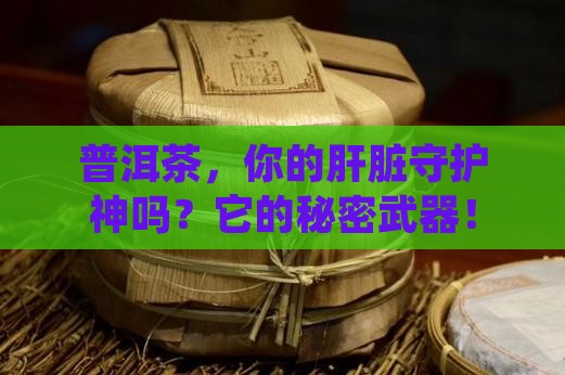 普洱茶，你的肝脏守护神吗？它的秘密武器！