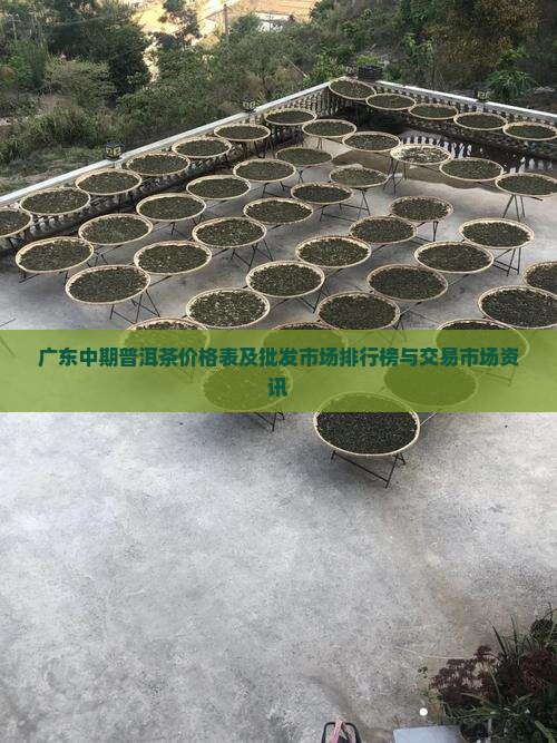 广东中期普洱茶价格表及批发市场排行榜与交易市场资讯