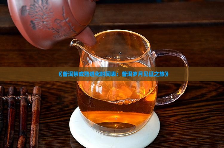 《普洱茶成熟进化时间表：普洱岁月见证之旅》