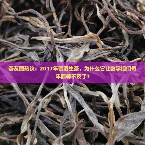 茶友圈热议：2017年普洱生茶，为什么它让数字控们每年都等不及了？