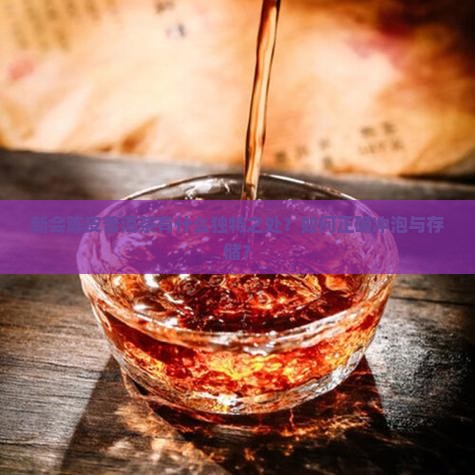 新会陈皮普洱茶有什么独特之处？如何正确冲泡与存储？