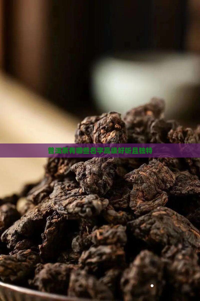 普洱茶有哪些名字高级好听且独特