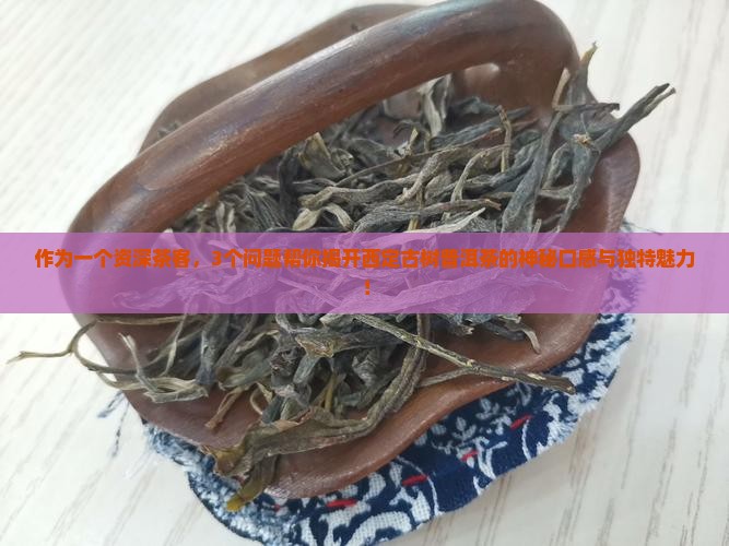 作为一个资深茶客，3个问题帮你揭开西定古树普洱茶的神秘口感与独特魅力！