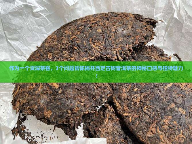 作为一个资深茶客，3个问题帮你揭开西定古树普洱茶的神秘口感与独特魅力！