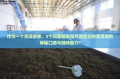 作为一个资深茶客，3个问题帮你揭开西定古树普洱茶的神秘口感与独特魅力！