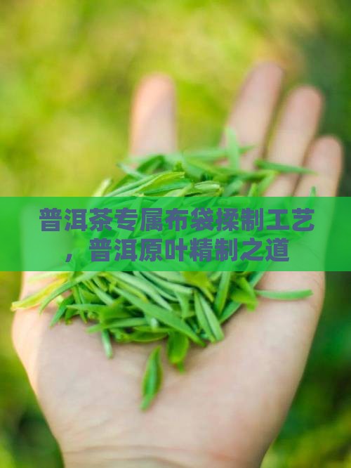 普洱茶专属布袋揉制工艺，普洱原叶精制之道