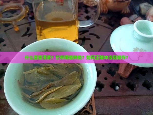 什么是普洱茶？它有哪些种类？如何正确冲泡和储存？