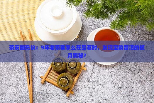 茶友圈热议：9年老茶客怎么在品茗时，发现宝韵普洱的揽月奥秘？