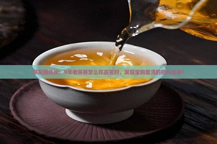 茶友圈热议：9年老茶客怎么在品茗时，发现宝韵普洱的揽月奥秘？