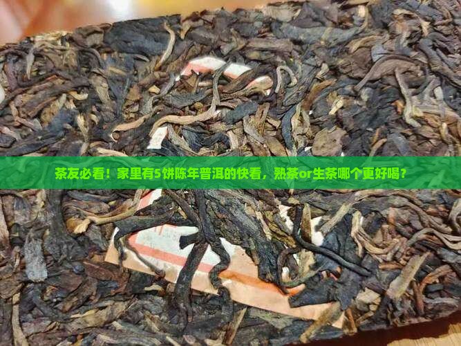 茶友必看！家里有5饼陈年普洱的快看，熟茶or生茶哪个更好喝？