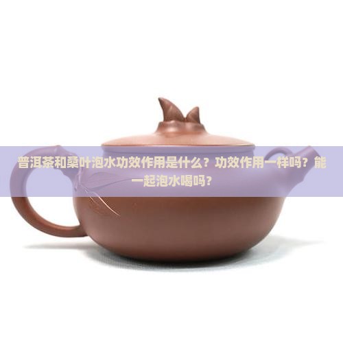 普洱茶和桑叶泡水功效作用是什么？功效作用一样吗？能一起泡水喝吗？