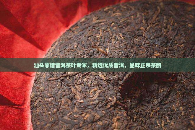 汕头靠谱普洱茶叶专家，精选优质普洱，品味正宗茶韵