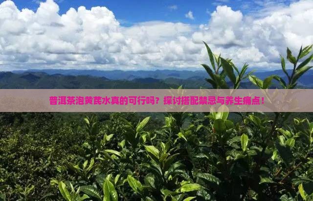 普洱茶泡黄芪水真的可行吗？探讨搭配禁忌与养生痛点！
