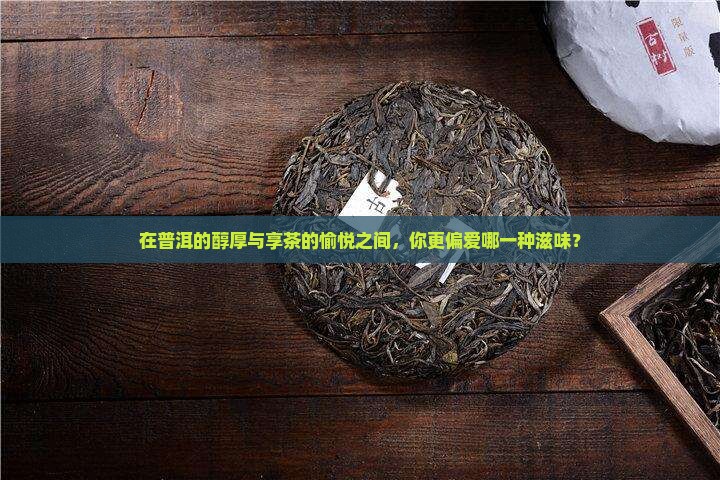 在普洱的醇厚与享茶的愉悦之间，你更偏爱哪一种滋味？