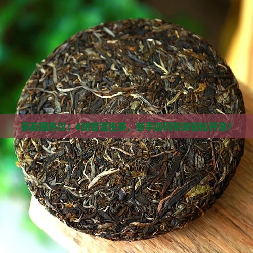 茶友圈热议：4饼普洱生茶，新手如何在家轻松开泡？