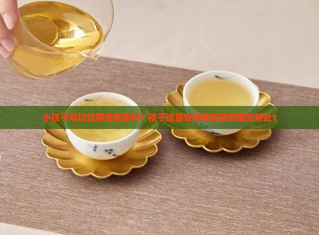 小孩子可以饮用苦荞茶吗？孩子适量饮用荞麦茶有哪些好处？