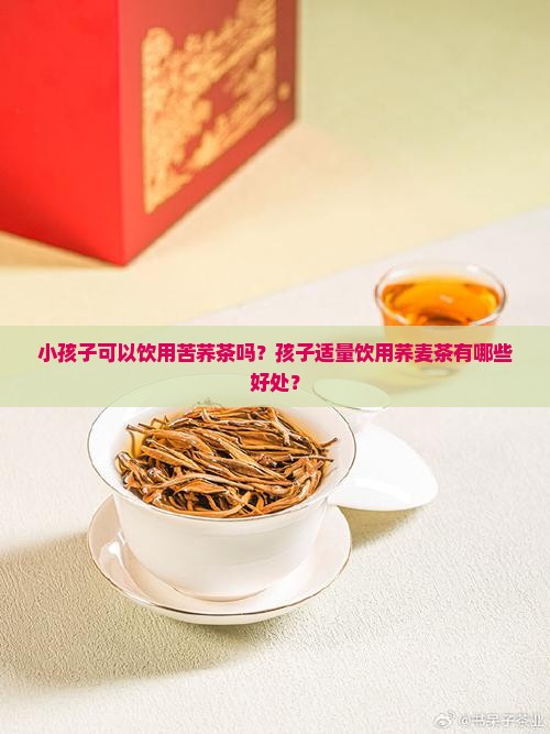 小孩子可以饮用苦荞茶吗？孩子适量饮用荞麦茶有哪些好处？