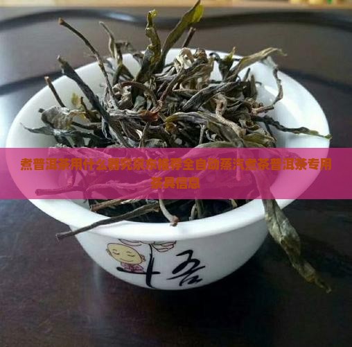 煮普洱茶用什么器究京东推荐全自动蒸汽煮茶普洱茶专用茶具信息
