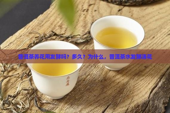 普洱茶养花用发酵吗？多久？为什么，普洱茶水发酵浇花