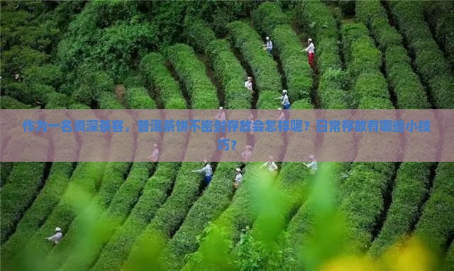作为一名资深茶客，普洱茶饼不密封存放会怎样呢？日常存放有哪些小技巧？