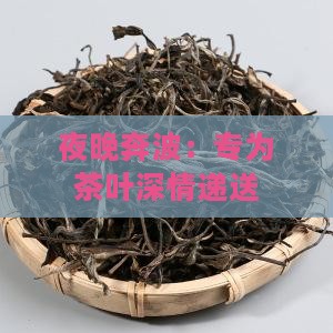 夜晚奔波：专为茶叶深情递送