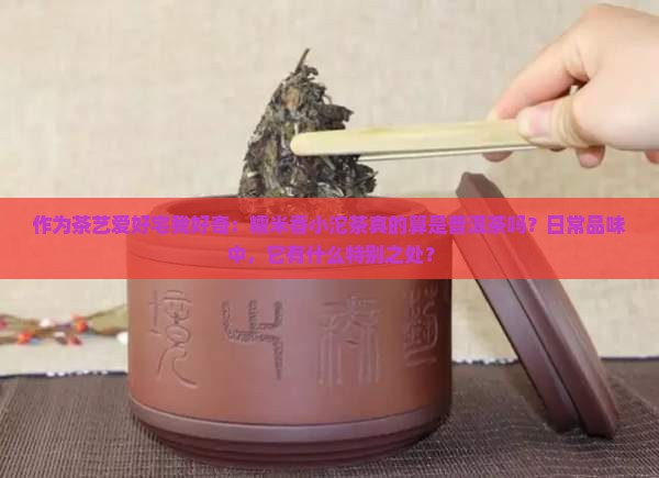 作为茶艺爱好宅我好奇：糯米香小沱茶真的算是普洱茶吗？日常品味中，它有什么特别之处？