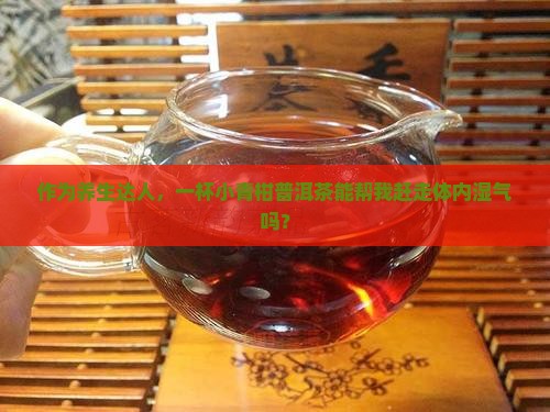 作为养生达人，一杯小青柑普洱茶能帮我赶走体内湿气吗？