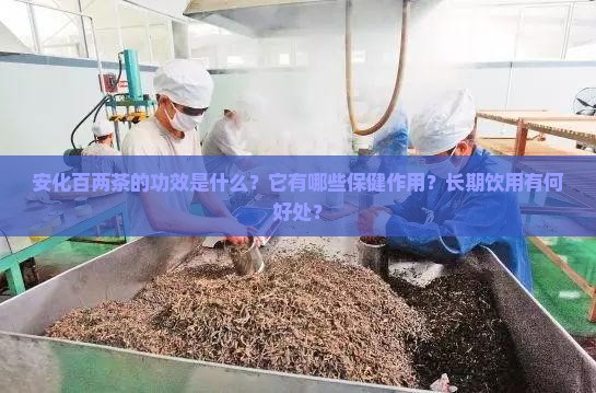 安化百两茶的功效是什么？它有哪些保健作用？长期饮用有何好处？