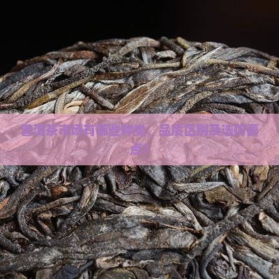 普洱茶市场有哪些种类、品质区别及选购要点？