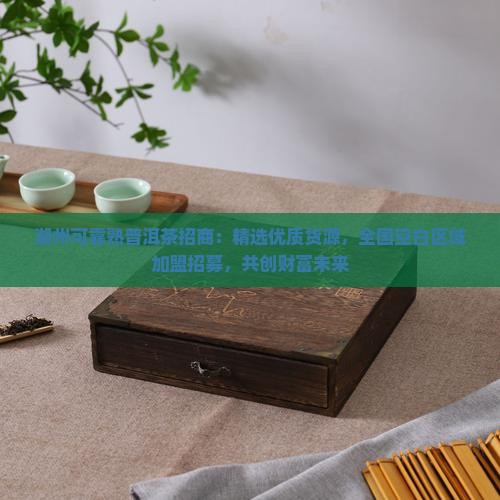 湖州可靠熟普洱茶招商：精选优质货源，全国空白区域加盟招募，共创财富未来