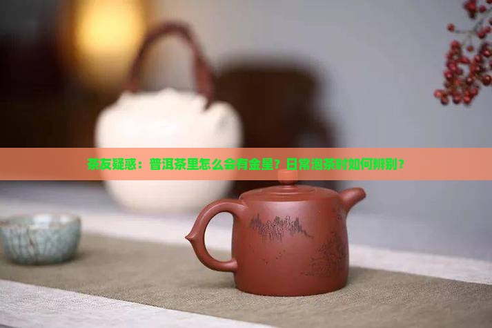 茶友疑惑：普洱茶里怎么会有金星？日常泡茶时如何辨别？