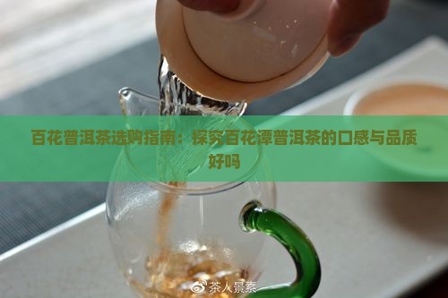 百花普洱茶选购指南：探究百花潭普洱茶的口感与品质好吗