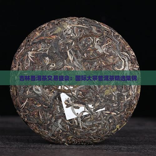吉林普洱茶交易盛会：国际大宗普洱茶精选集锦