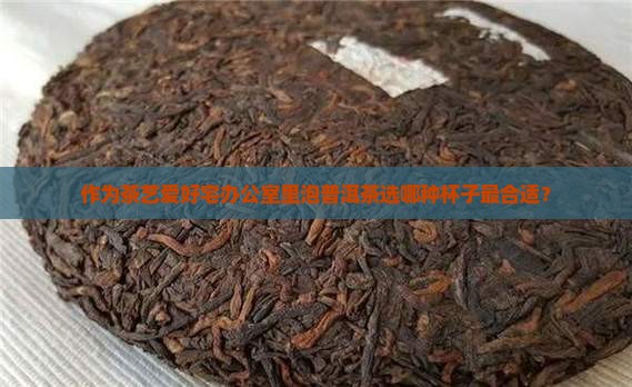 作为茶艺爱好宅办公室里泡普洱茶选哪种杯子最合适？