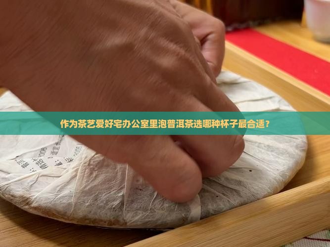 作为茶艺爱好宅办公室里泡普洱茶选哪种杯子最合适？