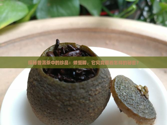 探秘普洱茶中的珍品：螃蟹脚，它究竟藏着怎样的秘密？