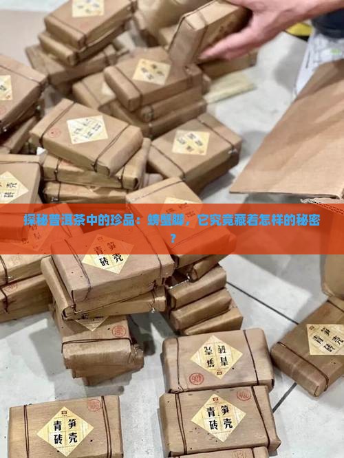 探秘普洱茶中的珍品：螃蟹脚，它究竟藏着怎样的秘密？