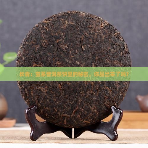 长青：蛮系普洱茶饼里的秘密，你品出来了吗？