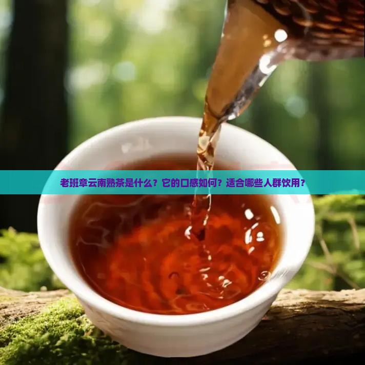 老班章云南熟茶是什么？它的口感如何？适合哪些人群饮用？