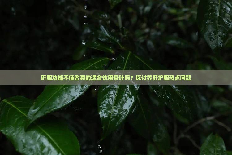 肝胆功能不佳者真的适合饮用茶叶吗？探讨养肝护胆热点问题