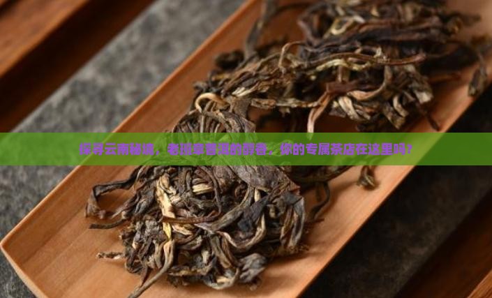 探寻云南秘境，老班章普洱的醇香，你的专属茶店在这里吗？