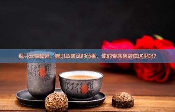 探寻云南秘境，老班章普洱的醇香，你的专属茶店在这里吗？