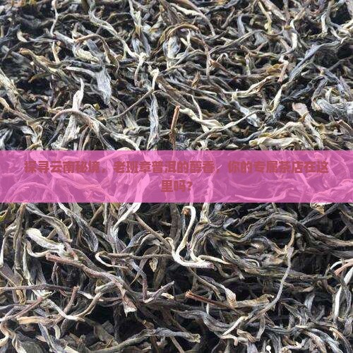 探寻云南秘境，老班章普洱的醇香，你的专属茶店在这里吗？