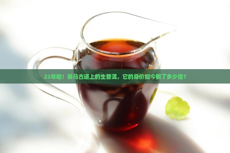 22年啦！茶马古道上的生普洱，它的身价如今翻了多少倍？