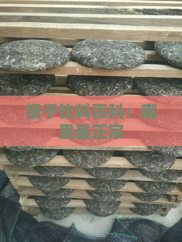 银子饮料百科：哪里最正宗