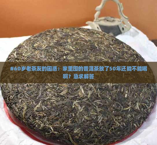 #60岁老茶友的困惑：家里囤的普洱茶放了50年还能不能喝啊？急求解答
