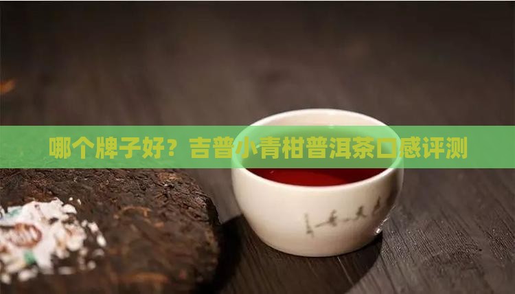 哪个牌子好？吉普小青柑普洱茶口感评测