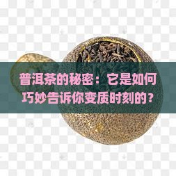 普洱茶的秘密：它是如何巧妙告诉你变质时刻的？