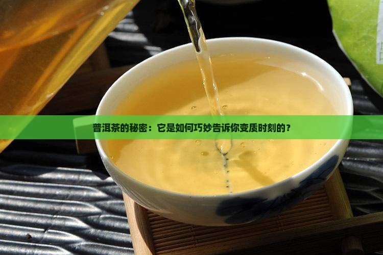 普洱茶的秘密：它是如何巧妙告诉你变质时刻的？